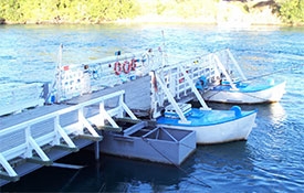 Take a drive along the river to visit the Tuapeka Punt and continue your drive to Beaumont and return.
Visit Website