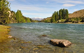 Catch a trout, rainbow trout or salmon in the Clutha River.
Visit Website